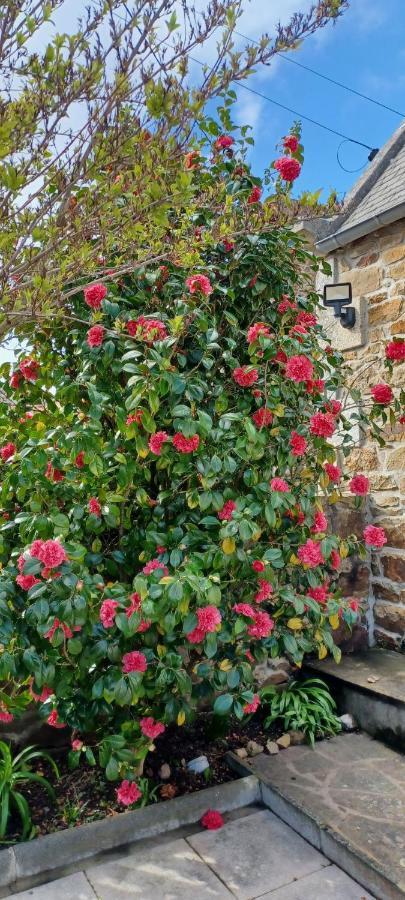 Вилла Cote De Granit Rose Плёмёр-Боду Экстерьер фото
